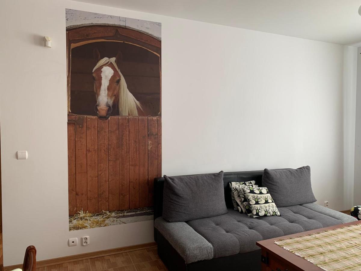 Zawsze Sloneczny Apartament Grzybowo グジボボ エクステリア 写真