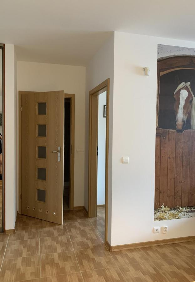 Zawsze Sloneczny Apartament Grzybowo グジボボ エクステリア 写真